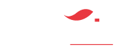 Art Studio — We Create To Inspire